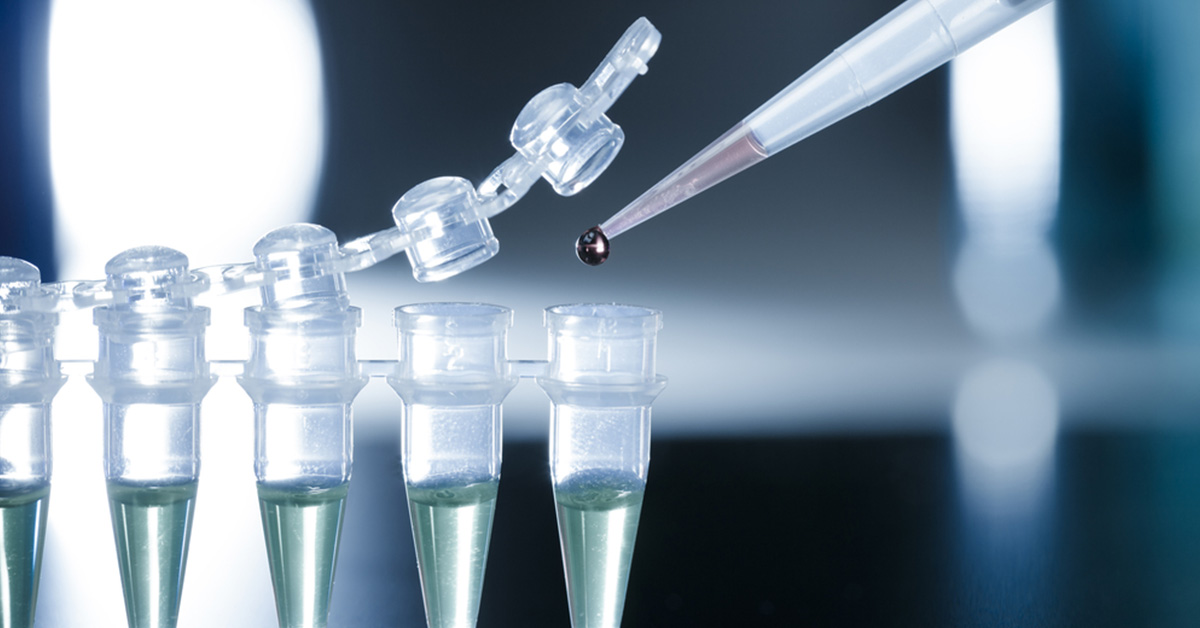 New cell research may stop or slow hair loss.