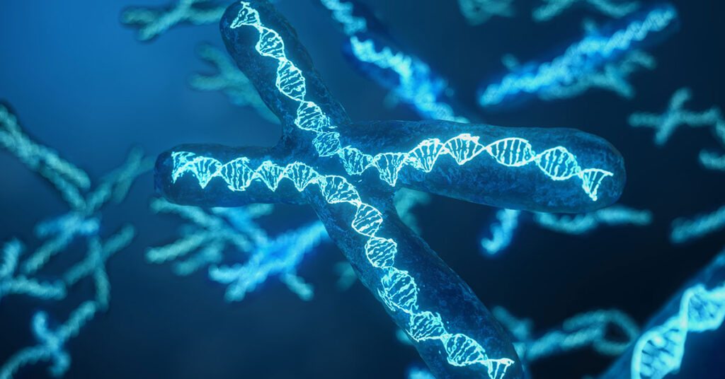 Family history genetics