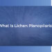 What is Lichen Planopilaris?