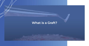 What is a graft?